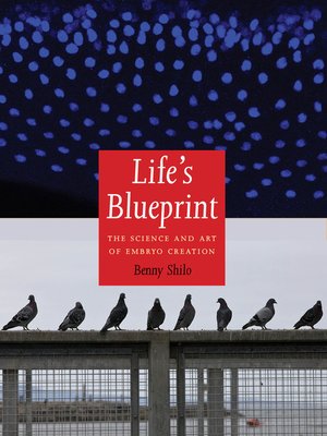 cover image of Life's Blueprint